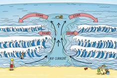 the water cycle is shown in this cartoon