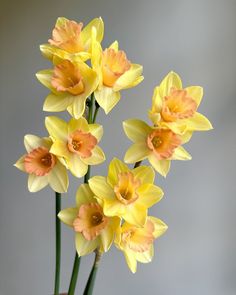 yellow and orange flowers are in a vase