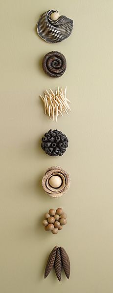 an assortment of decorative objects hanging on the wall in a row, including shells and leaves