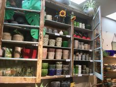 the shelves are filled with pots and plants