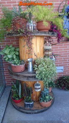 several potted plants are stacked on top of each other in front of a brick wall