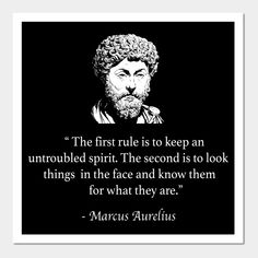 the first rule is to keep an untroubled spirit the second is to look things in the face and know them for what they are