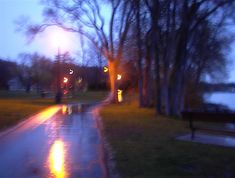 a park bench sitting on the side of a wet road at night with street lights in the background