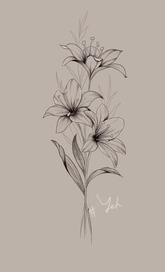 a drawing of some flowers on a gray background