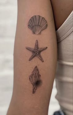 three seashells and starfish tattoo on the arm