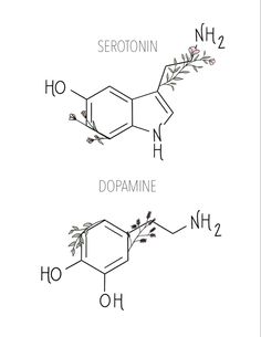 two different types of propanes are shown in this graphic above the same type of propane