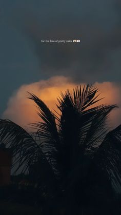 the sun is setting behind a palm tree with clouds in the sky above it and an inscription that reads, for this love of poetry shine