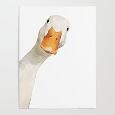 a watercolor painting of a white duck with orange beak and brown head, on a white background