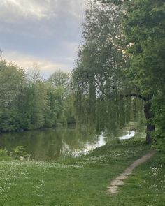 there is a path that leads to the water and trees on both sides of the river