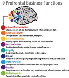 Neurobiology Aesthetic, Ap Psych, Brain Science, Emotional Awareness