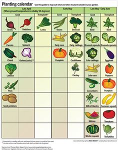 an image of a plant calendar with vegetables