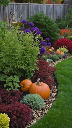 a garden filled with lots of different types of flowers