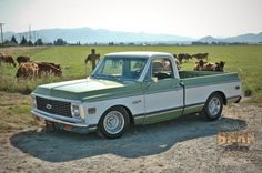 an old pickup truck is parked in front of some cows