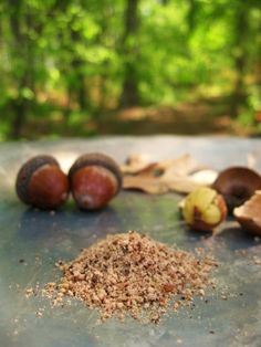 some nuts are sitting on a table next to leaves