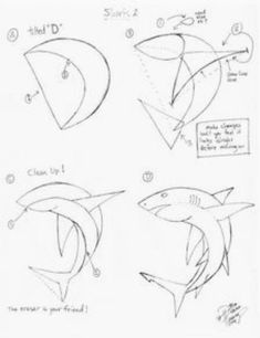 how to draw a shark step by step drawing for kids, easy drawings, animal drawings, pencil drawings, art drawings, dolphin drawing lessons, learn to draw, sea animals, ocean creatures, person, the zoo