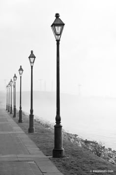 black and white photograph of street lamps along the water's edge in foggy weather