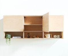 a shelf that has some cups on top of it and a potted plant in the middle