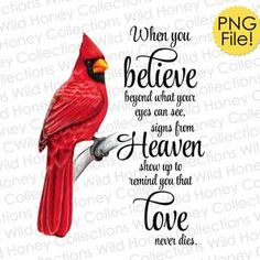 a red bird sitting on top of a tree branch with the words, when you believe beyond