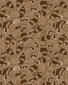 a bunch of raccoons that are standing in the middle of a wallpaper