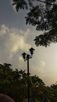 two street lamps are standing in front of some trees