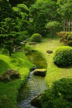 a small stream running through a lush green garden