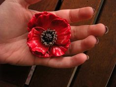 a person's hand holding a red flower