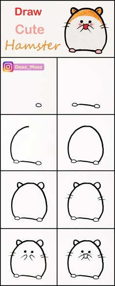 the drawing instructions for how to draw cute hamster