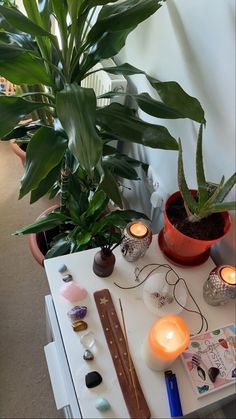 some plants and candles are sitting on a table