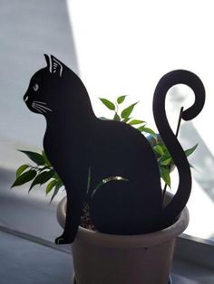 a black cat is sitting in a potted plant