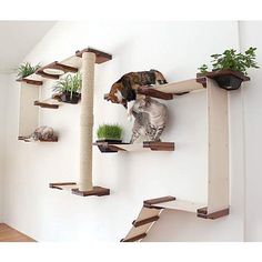 two cats sitting on top of wooden shelves with plants and cat toys hanging from them