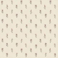 a white wallpaper with small pink flowers on it