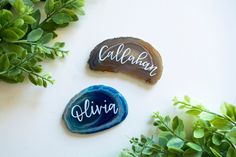 two rocks with names on them sitting next to some plants