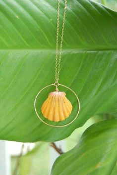 an orange shell is hanging from a gold circle necklace on a green leafy branch