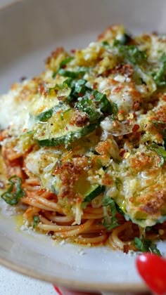 a white plate topped with pasta covered in cheese