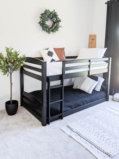 a black bunk bed sitting next to a plant in a living room with white carpet