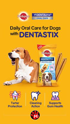 an advertisement for dental care for dogs