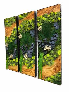 three panels with plants and rocks on them