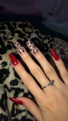 Zebra Leopard Nails, Hot Pink And Leopard Nails, Cherry Leapord Nails, Y2k Nails Cheetah, Sparkling Nail Designs, Red And Cheetah Print Nails, Cheetah Print Nails Coffin, Cheetah Print Nails Acrylic, Nail Designs Cheetah Print