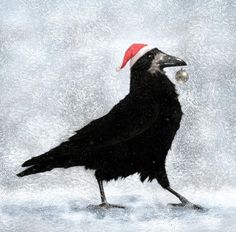 a black bird with a santa hat on it's head standing in the snow