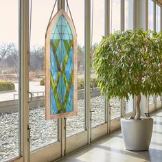 a green plant in a white pot next to a large window with glass panes