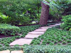 a stone path surrounded by green bushes and trees