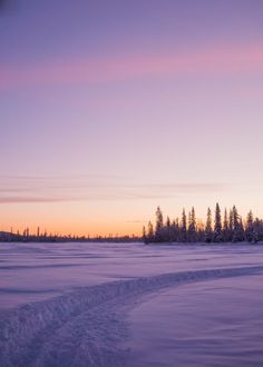 a person riding skis across a snow covered field at sunset with trees in the background