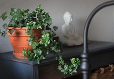 a potted plant sitting on top of a wooden table next to a white statue