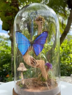 a blue butterfly sitting on top of a mushroom under a glass dome