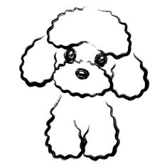 a black and white drawing of a poodle