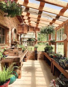 a room filled with lots of potted plants next to wooden benches and windows covered in wood slats