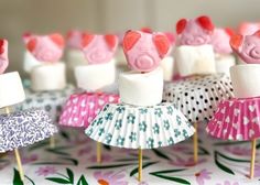 small marshmallows with pink and white toppings on them are arranged in rows