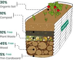 an image of a tree stump cut in half and labeled with information about the structure