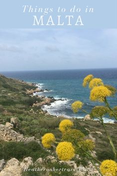 yellow flowers with the ocean in the background and text that reads things to do in malta