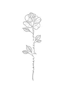 a drawing of a single rose on a white background